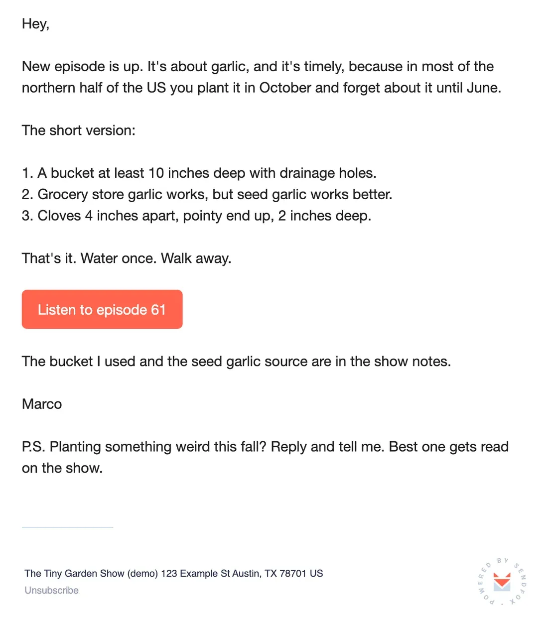 The sample email rendered in the SendFox preview, the way a subscriber sees it